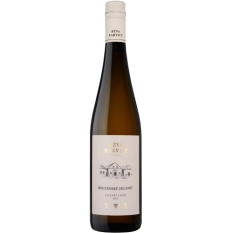 Réva Rakvice Sylvánské Zelené Pozdní sběr 2018 0,75l