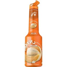 MIXER Meloun 1l