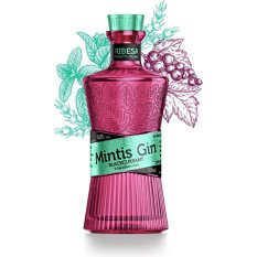 Mintis Ribesa Gin 0,7l 41,8%